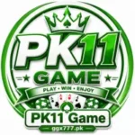 PK11 Game