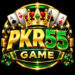 PKR55 Game
